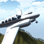 3D Flight Sim 