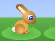 Bunny Hop 