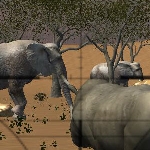 Animal Hunter 3D Africa