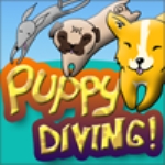 Puppy Diving 