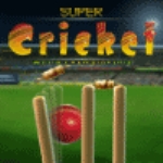 Super Cricket 